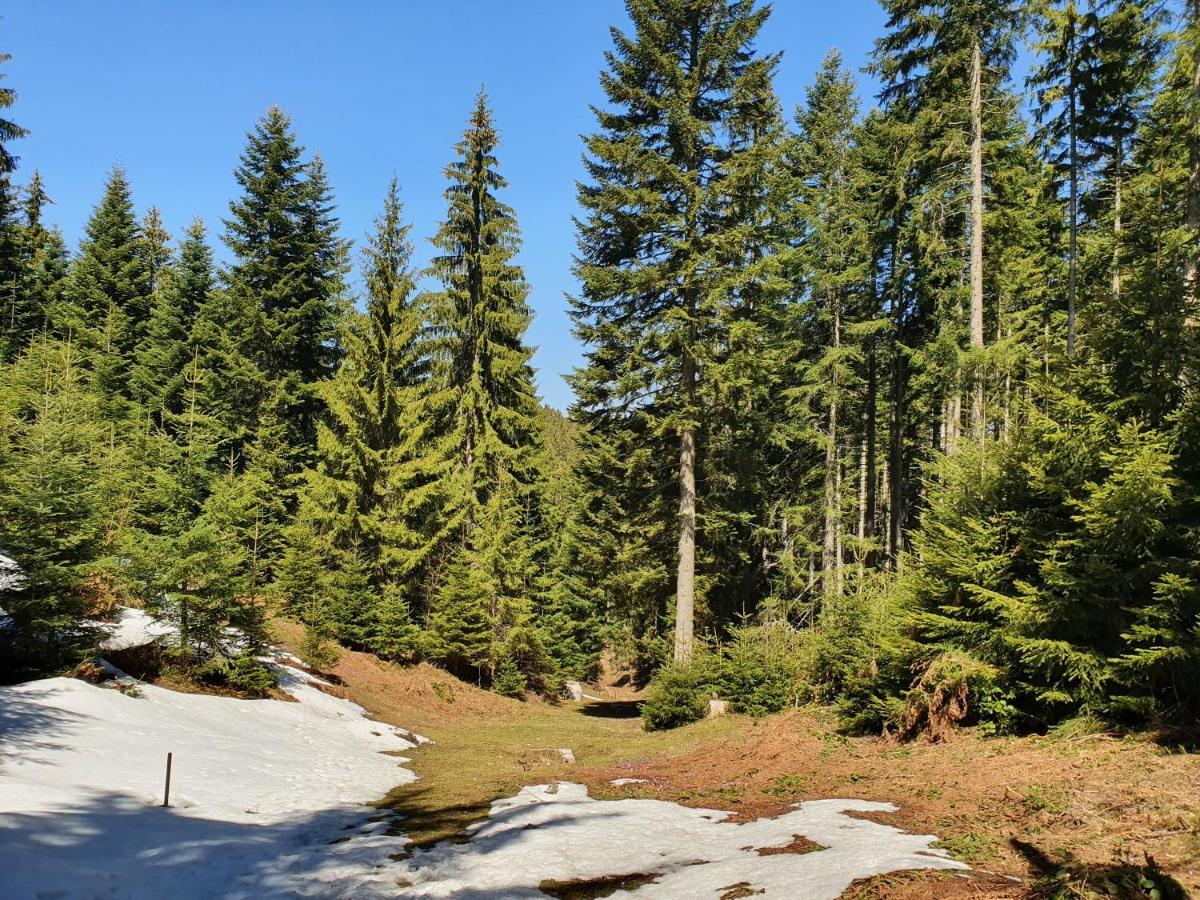 Zlatar Luxury Chalet - Trace Of Nature 2214 Nova Varoš Dış mekan fotoğraf