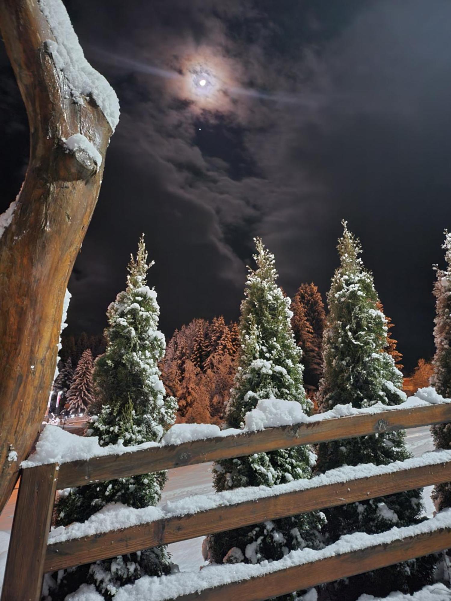 Zlatar Luxury Chalet - Trace Of Nature 2214 Nova Varoš Dış mekan fotoğraf