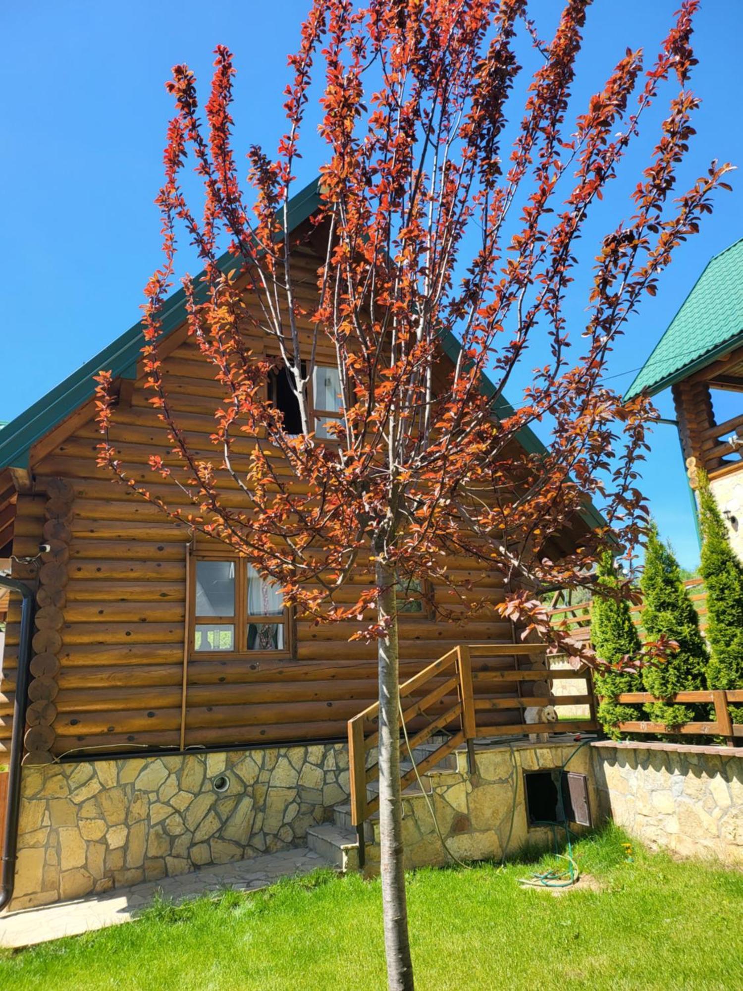 Zlatar Luxury Chalet - Trace Of Nature 2214 Nova Varoš Dış mekan fotoğraf